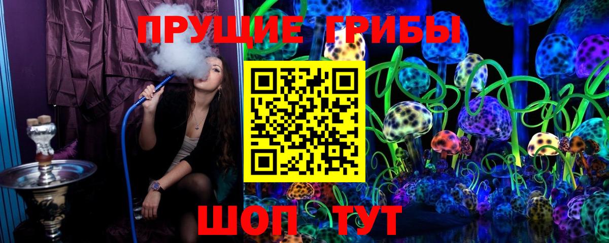 Псилоцибиновые грибы Psilocybe Серпухов