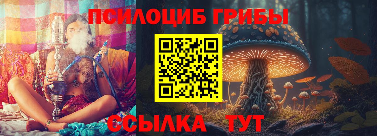 Серпухов  Псилоцибиновые грибы Psilocybe  Вход с VPN 